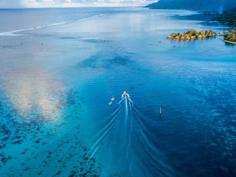 Beach-bird-s-eye-view-boats-841120